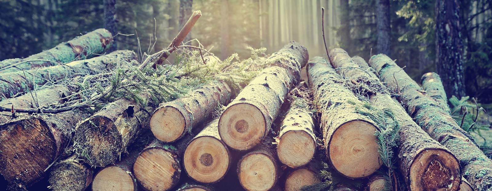 Heizen mit Holz